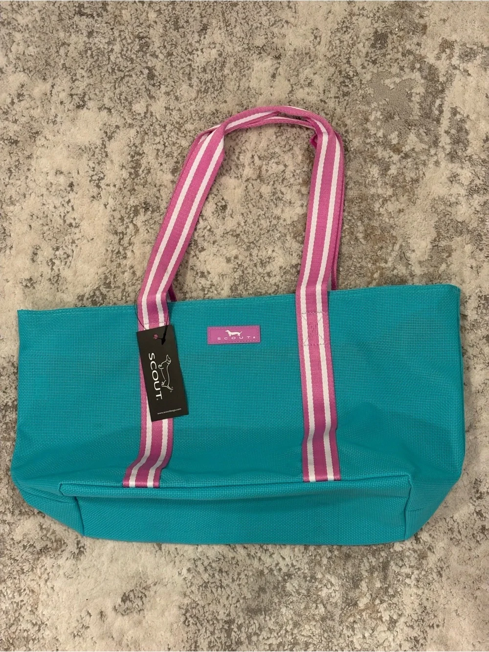 Scout Teal Canvas Tote with Pink Stripe Handles